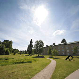 Premium single - Image 8